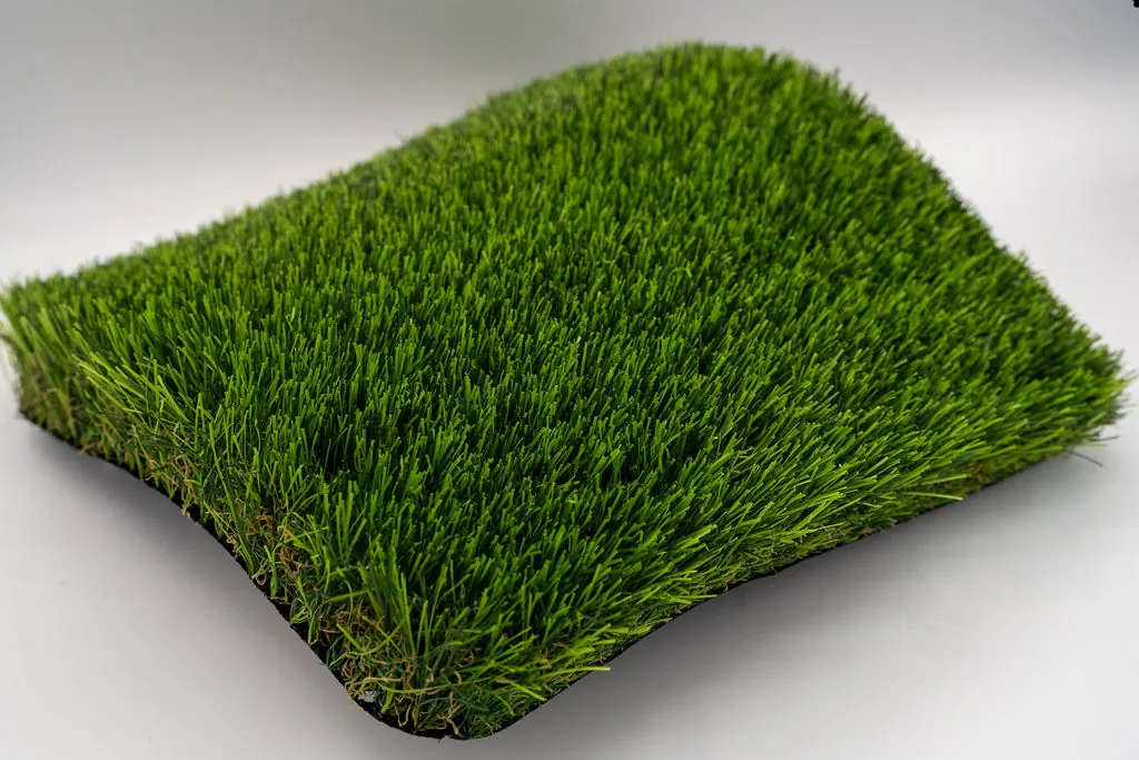 Angled view of a Princess 115 turf sample showing blade density and pi